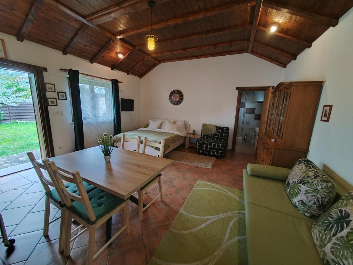 Studio Apartman Buteo Ястребарско Экстерьер фото